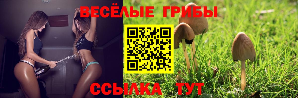 Галлюциногенные грибы MAGIC MUSHROOMS  Вход с VPN  где купить наркоту  Электросталь 